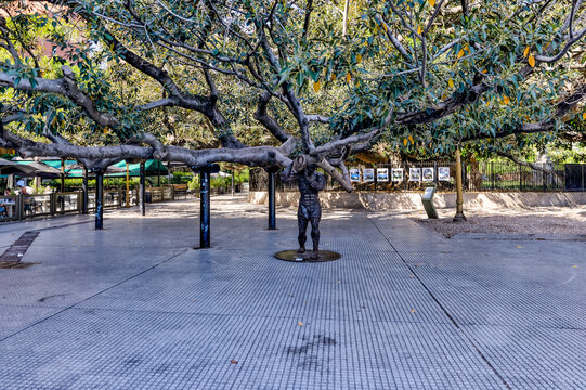 Buenos Aires, Argentina - December 21, 2022: Atlas of Recoleta (2014), by Uruguyan artist Joaquin Arbiza (b: 1993), a metal statue of Atlas lifting the Gomero de la Recoleta tree in the Recoleta distr