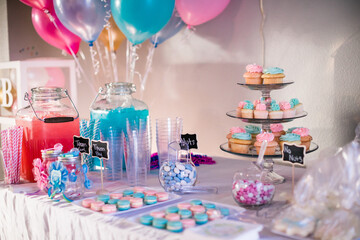 baby shower gender reveal pink and blue deocorations