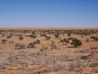 Simpson Desert Landscape in Australian Outback
