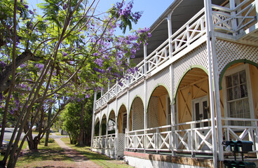 Sunny street with an old timber house and jacaranda tree