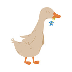 Adorable gosling. Cute farm poultry bird cartoon vector illustration