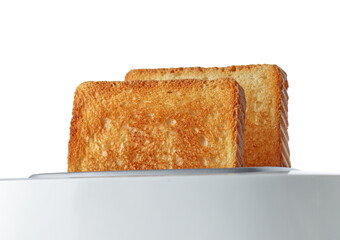 toasted bread slices