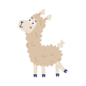 Adorable baby llama. Lovely wild animal. Cute childish print for banner, card, t-shirt cartoon vector illustration