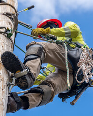 Worker Ascending Utility Pole 