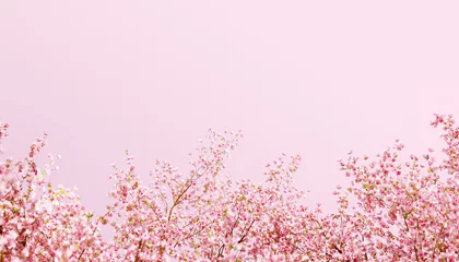 Rolgordijnen Beautiful spring, cherry blossom background with pink background © LHG