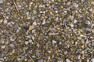 ground covered with stones and sticks in the field. Vector stone texture background