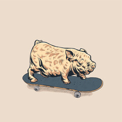 vector illustration of pig on a skate board
