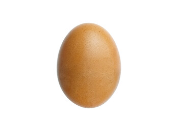 chicken egg isolated on white background