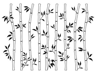 Bamboo stem and leaf outline borders set. Exotic decoration elements fresh natural plant in line sketch style. Hand drawing painted Asian traditional tree leaves, sticks bamboo botanical collection