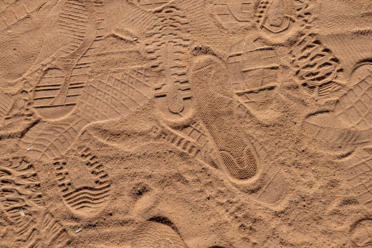 Footprints in the Arabian Sand