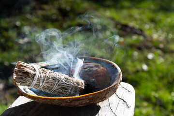 An image of a single white sage smudge stick smoldering in an abalone shell. 