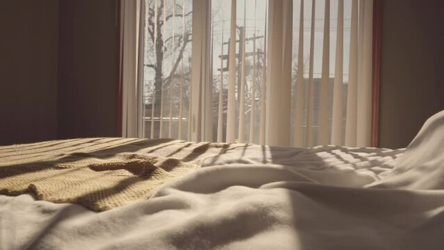 Beautiful large bed and light from the window