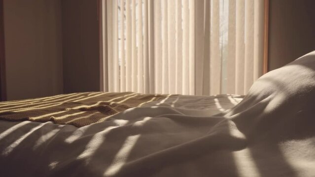 Beautiful large bed and light from the window