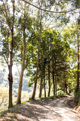 Camino t&iacute;pico rural en monta&ntilde;a