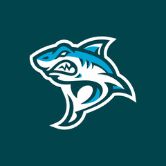 Shark cartoon mascot logo design, shark vector illustration