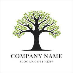 Obraz premium Tree company logo design template Vector