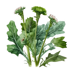 A Group of Dandelion Greens Watercolor, Vegetable Illustration Mockup - Generative AI