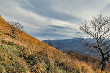 The slope of the mountain with dry grass. Mountain landscape with beautiful Caucasian nature. View from a great height in a picturesque place of the Caucasus. Caucasian mountain landscape.
