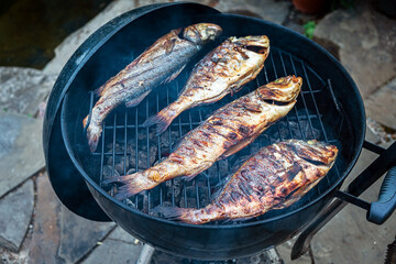 grilled fish on the grill