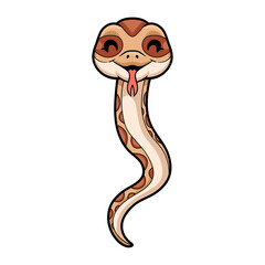 Fototapeta premium Cute daboia russelii snake cartoon
