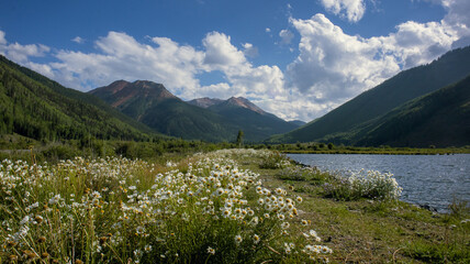 Colorado mountains, lake, and blooming flowers