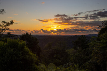 Atardecer bosque primario, Costa Rica. 