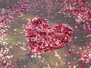 落ち葉で作ったハート