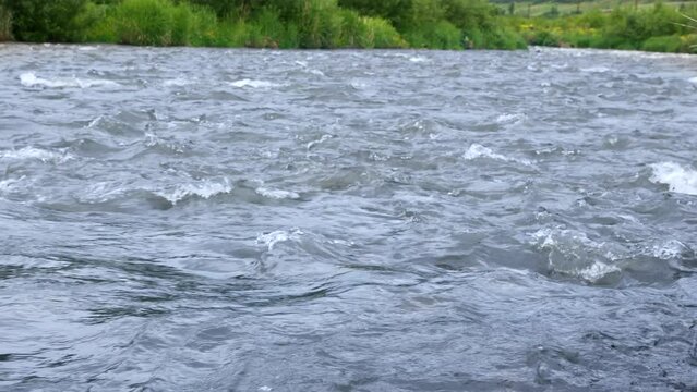 Streams of a Cold Mountain River descend noisily downstream through the rapids. Clear water in a deep mountain river flows in a narrow valley along the green banks