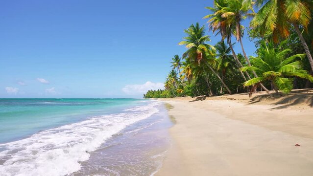 Paradise beach with palm trees on a sunny summer day - beautiful and tropical Caribbean Sea coast in Tulum in Quintana Roo, Riviera Maya, Cancun, Mexico. Landscape nature sea island.