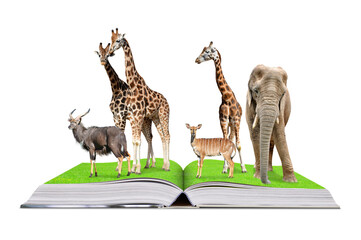 Giraffes, elephant, kudu and nyala in the open book isolated on transparent background, PNG. African animals.	