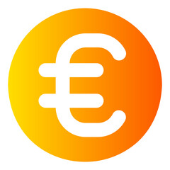 euro sign icon