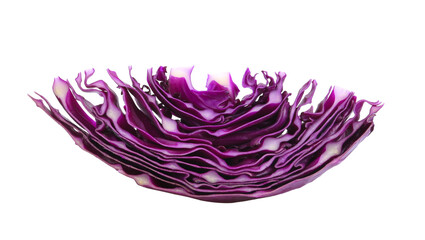 purple cabbage isolated on transparent png