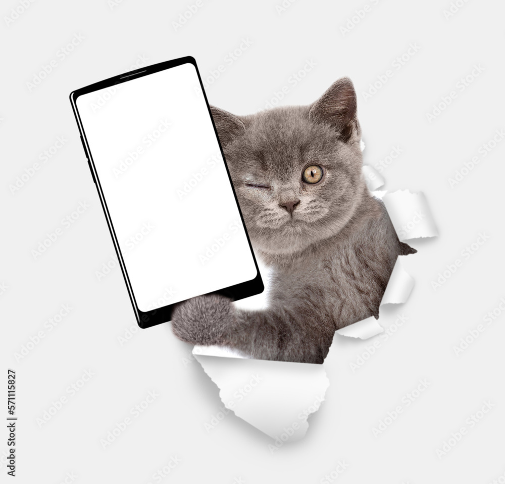 Aufkleber winking cat holds big smartphone with white blank screen through torn white paper hole. empty free s