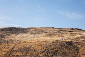 Landscape in autumn, winter, with hills of yellow grass and a blue sky