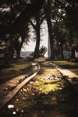 Sunlit walk way to a city