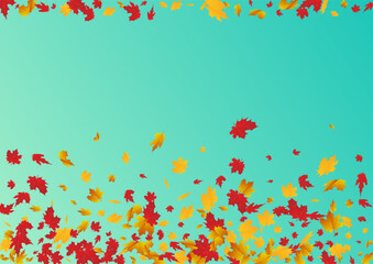 Colorful Leaves Vector Blue Background. Beautiful