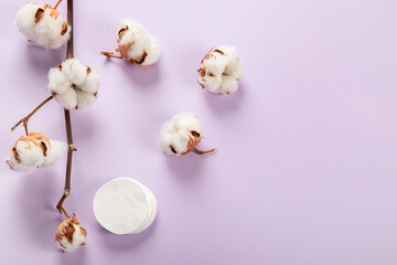Flat lay composition with cotton flowers on violet background. Space for text.