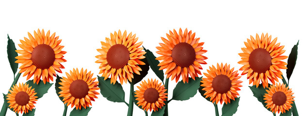 Spring concept Sunflower frame cutout