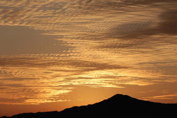 黄金に光る秋の夕日