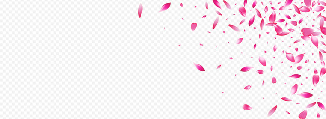 Color Blossom Vector Panoramic Transparent