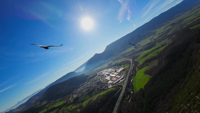 Birds flying, followed by a first-person drone.
They pass in front of the sun with a blue sky.
Impressive image of nature.