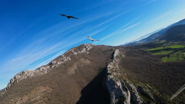 Vultures flying in slow motion, recorded very close up with a first-person drone. They fly over the mountain, with a sunny day