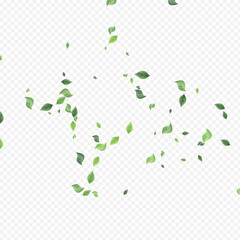 Lime Foliage Wind Vector Transparent Background