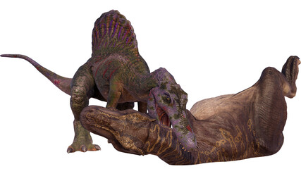 King Tyrannosaurus and Spinosaurus Fighting in Isolation on Transparent PNG Background