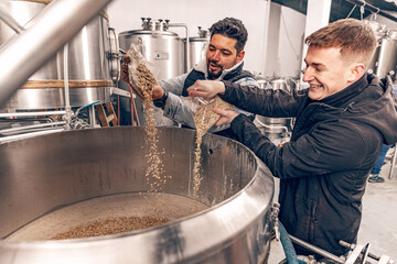 Brewmasters pours malted grain