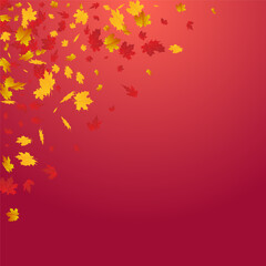 Fototapeta na wymiar Red Leaves Vector Red Background. Paper Plant