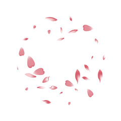 Pink Cherry Petal Vector White Background. White