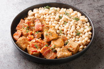 Spanish Freginat is a pork fricassee served with white beans close-up in a plate on the table. Horizontal