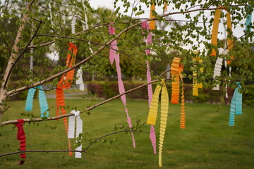 Fototapeta na wymiar Multicolored ribbons on branches of a tree against the sky