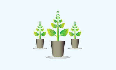 tree logo design